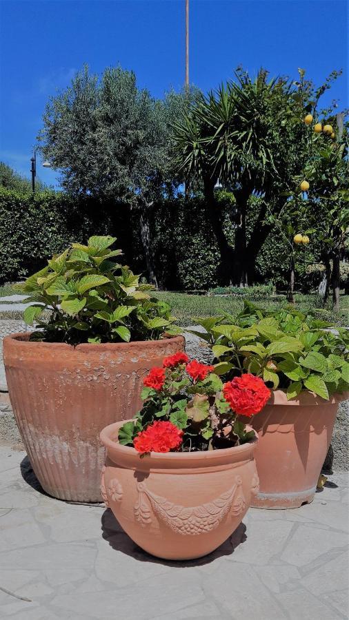 A Casa Di Nonna B&B Tortoreto Luaran gambar