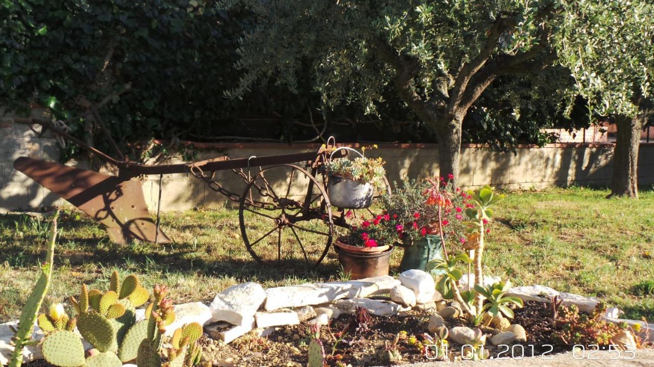 A Casa Di Nonna B&B Tortoreto Luaran gambar